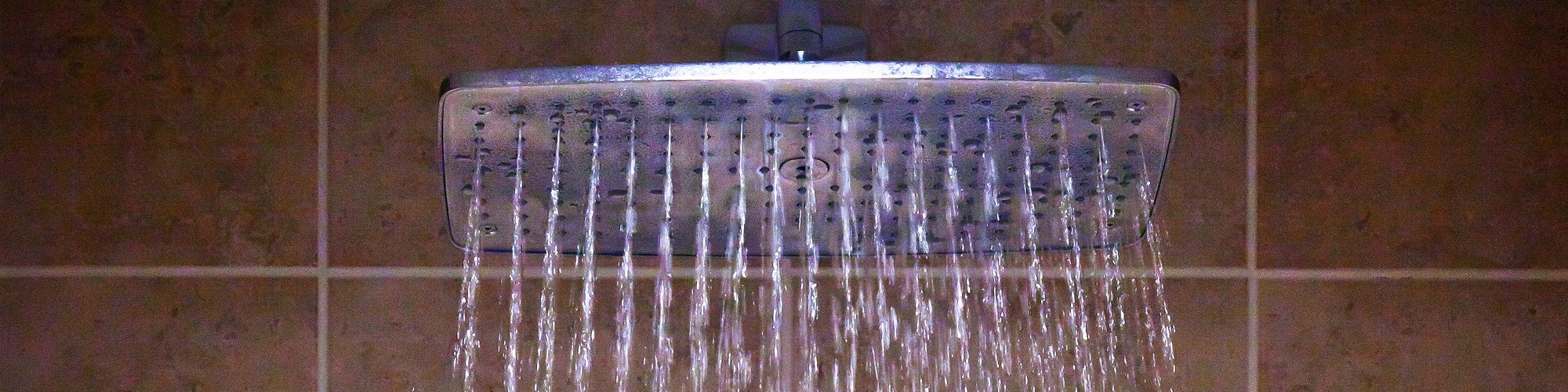 Deluge Shower 2000